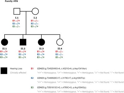 Next-generation sequencing improves precision medicine in hearing loss